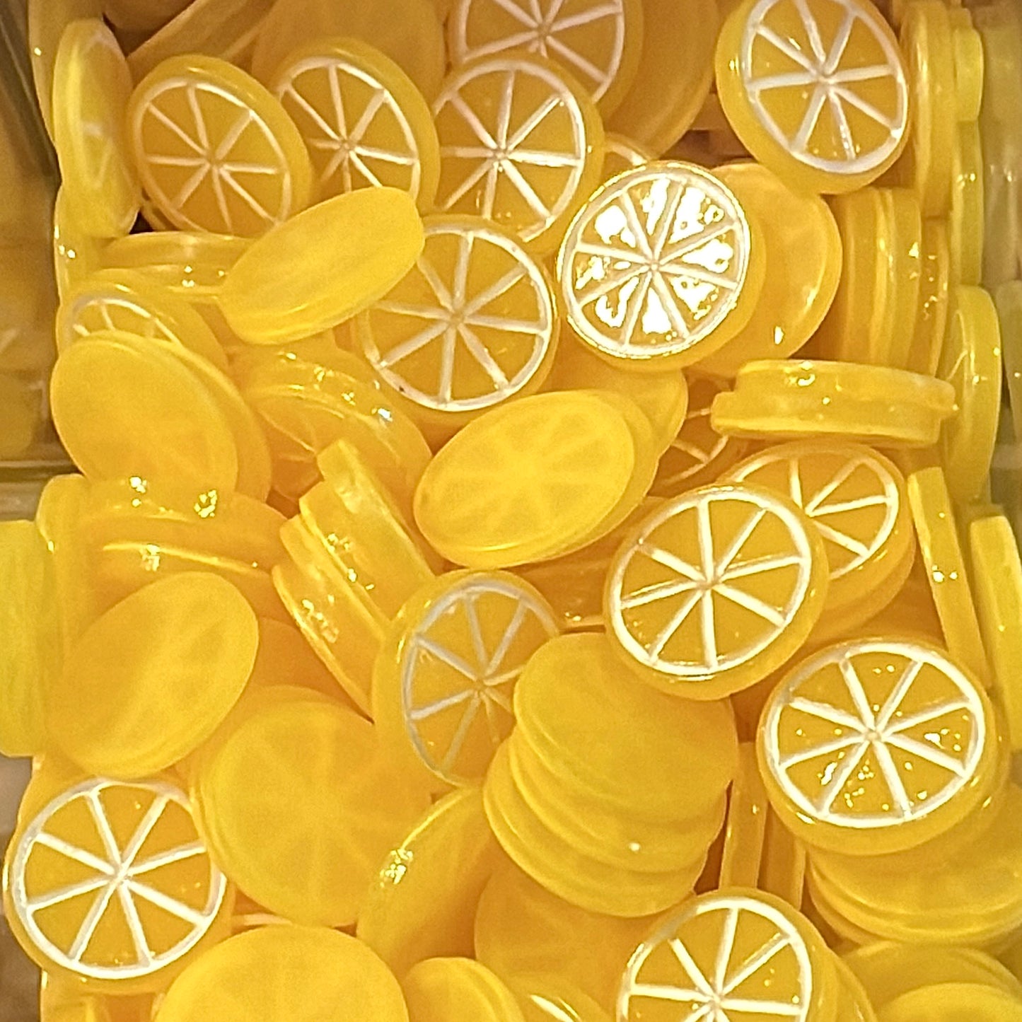 Lemon Slices (2 pc)