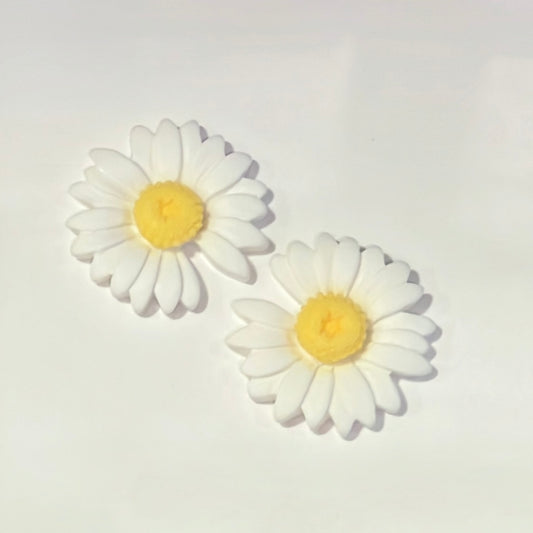 Daisy Flower