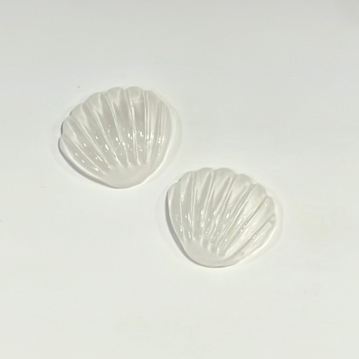 White Crystal Sea Shell